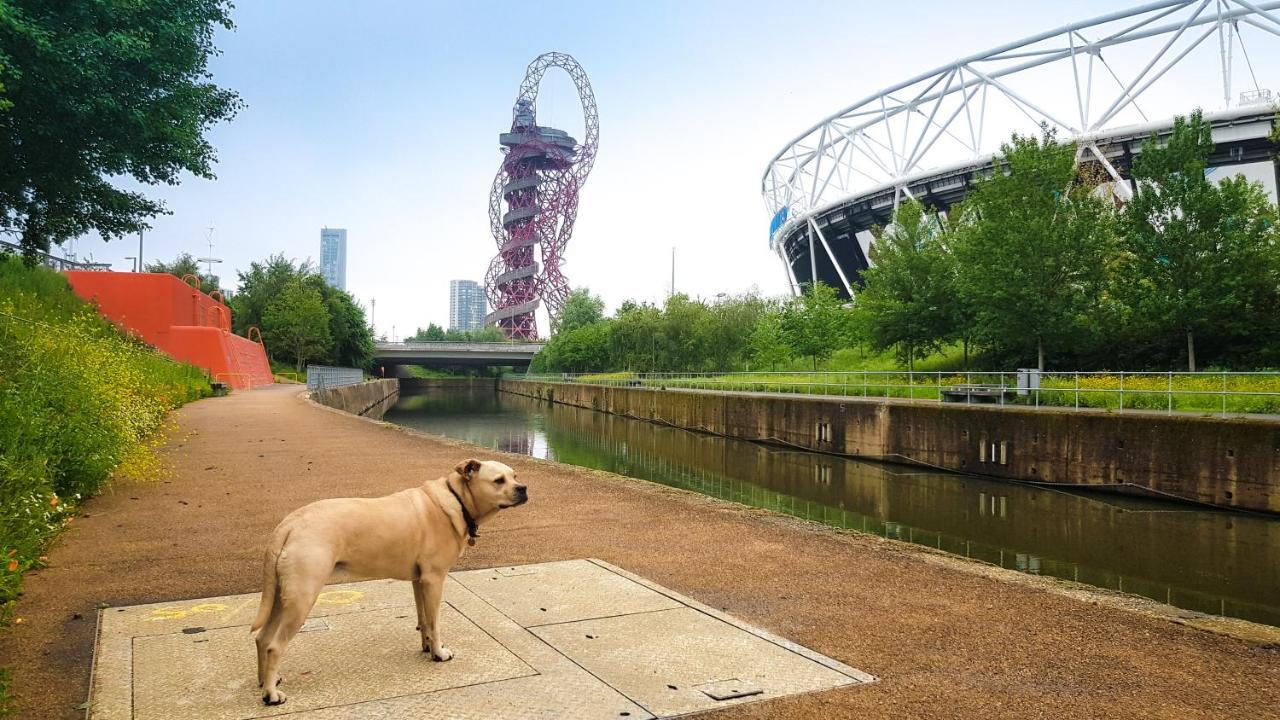 Beautiful Central Home For 6 Near Olympic Park And Abba Theatre Londen Buitenkant foto
